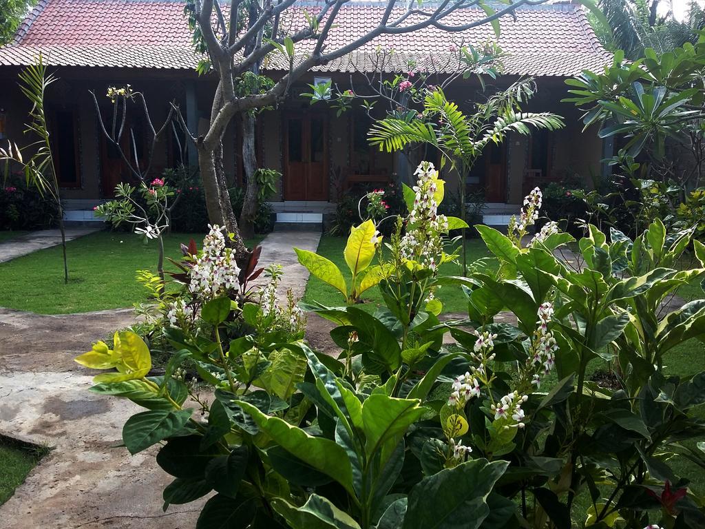 Pemuteran Molleh Guest House מראה חיצוני תמונה